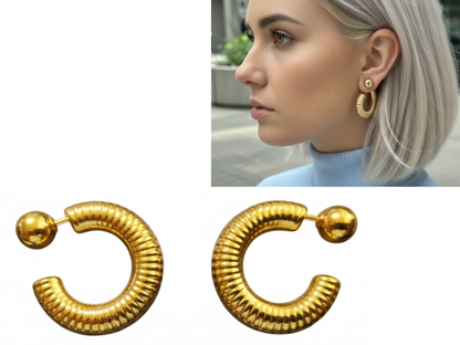 💜Aros Chic Tendencia💜